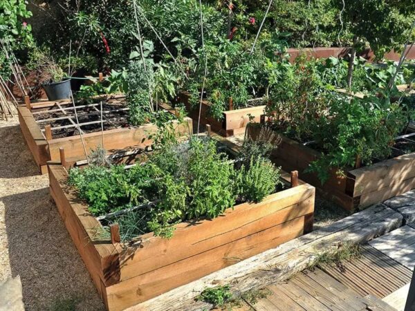 Carré potager avec traverse paysagère