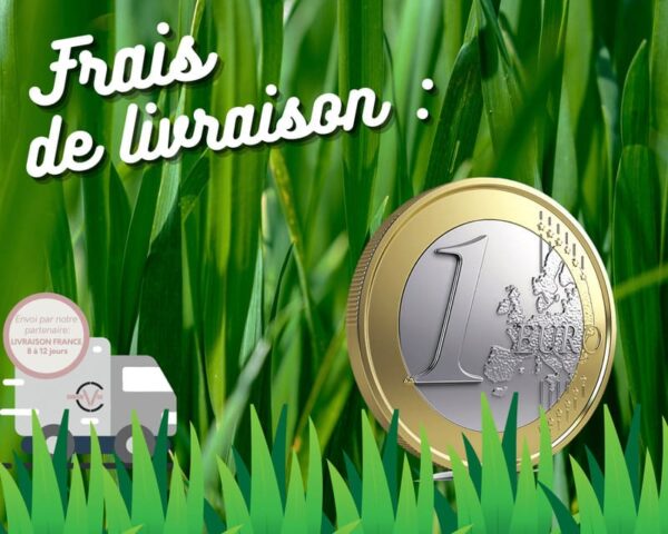 Frais de livraison pour gazon synthétique