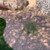 Bordure ALUMINIUM