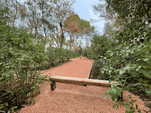 terrain de pétanque terrain de boules boulodrome