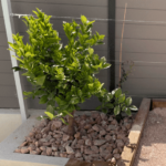 Carrière-Vila-Gravier-de-marbre-rose-Sable-pétanque-Sable-piscine-Sable-Gazon-galet-marbre-rose-pierre-à-gabion-4-e1620837277193.png
