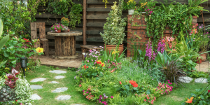 jardin