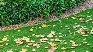 Entretenir son jardin en Auvergne-Rhône-Alpes