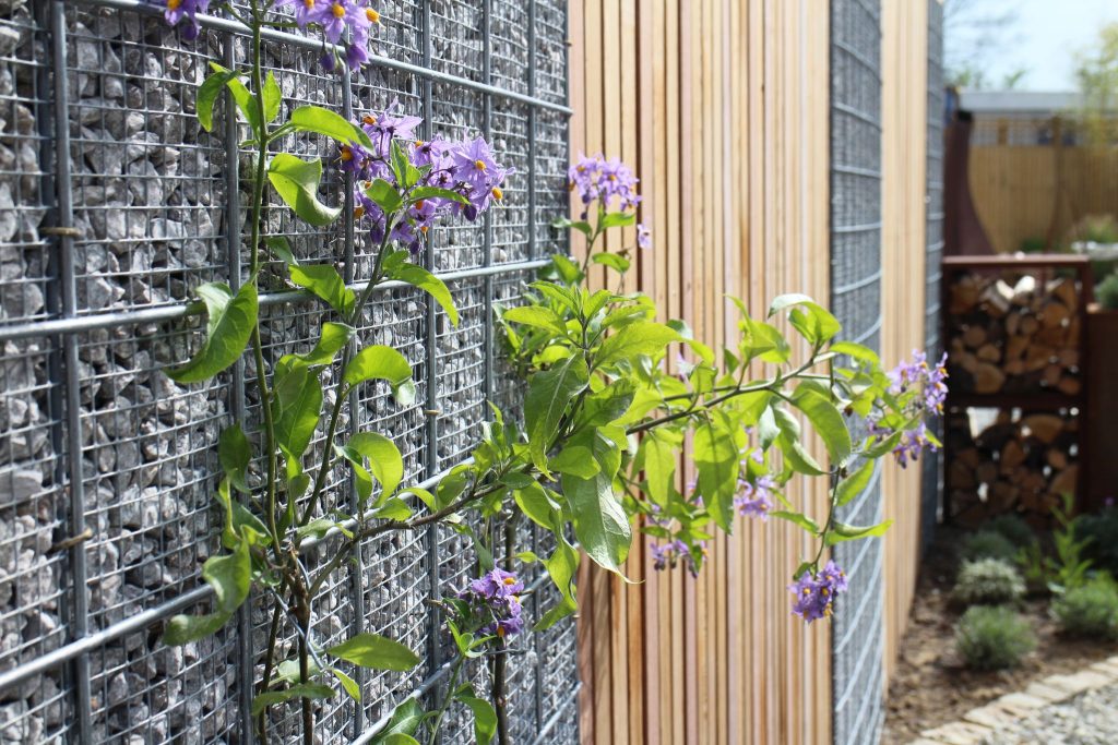 Mur en gabion à troyes