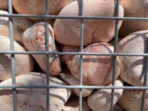 Galet gabion 90/150 de marbre rose