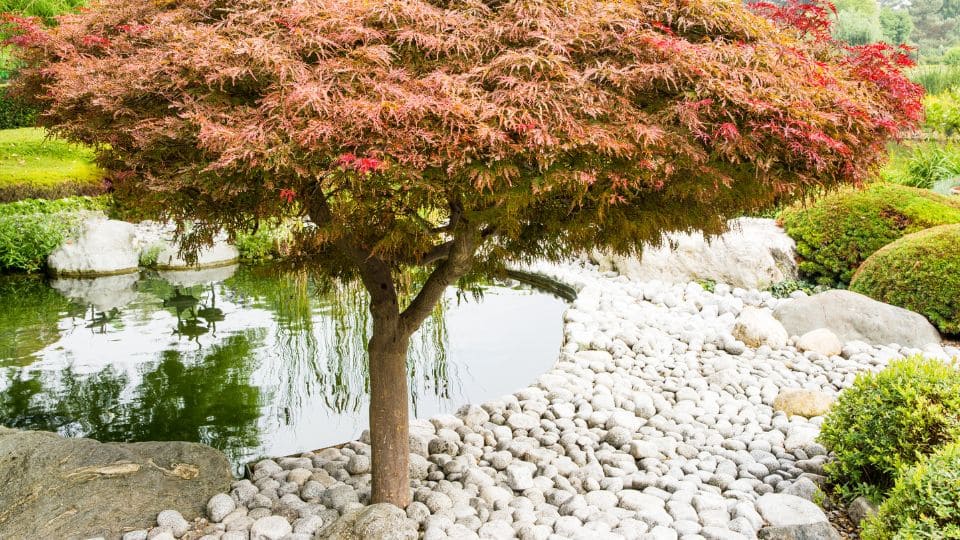 Galets décoratifs pour jardin zen à Arras