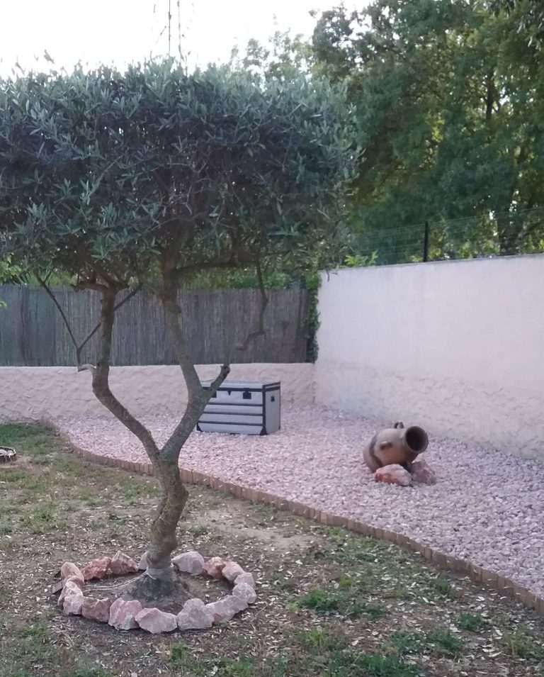 Pinterest: idées jardin minéral