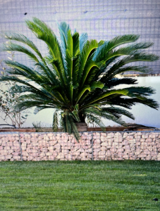 Mur en pierre à gabion de marbre rose à Carsan