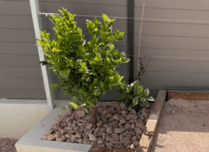 Aménagement extérieur avec des agrégats de marbre rose à Aigues-vives