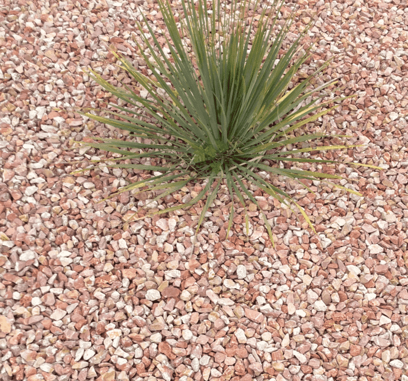 Gravier de Marbre rose à Saint Nazaire