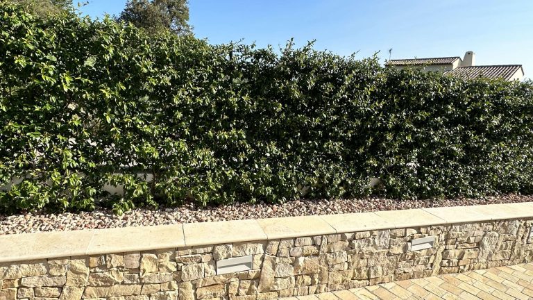 Gravier de marbre rose, livraison rapide et fiable partout en France