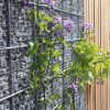 Mur en gravillon (Gabion) – Image 4