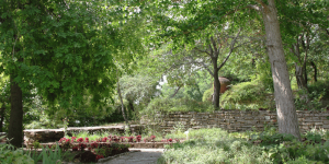 jardin été